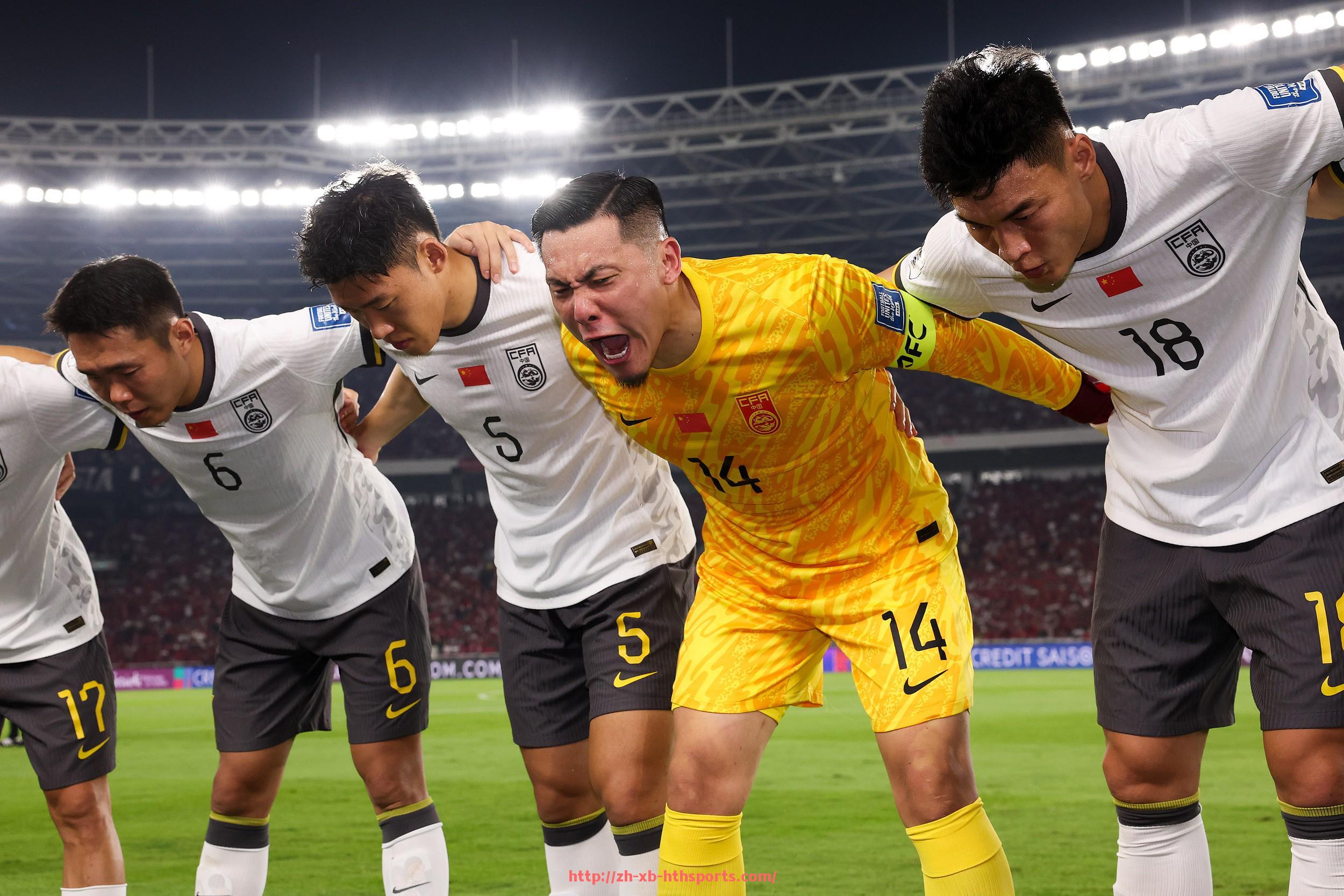 华体会hth登录入口-德甲球队分类表格及球队综合实力对比图示